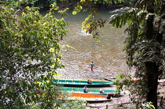 DSC_4429.JPG